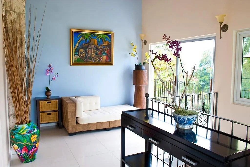 Bird Eye View Apartman Montego Bay